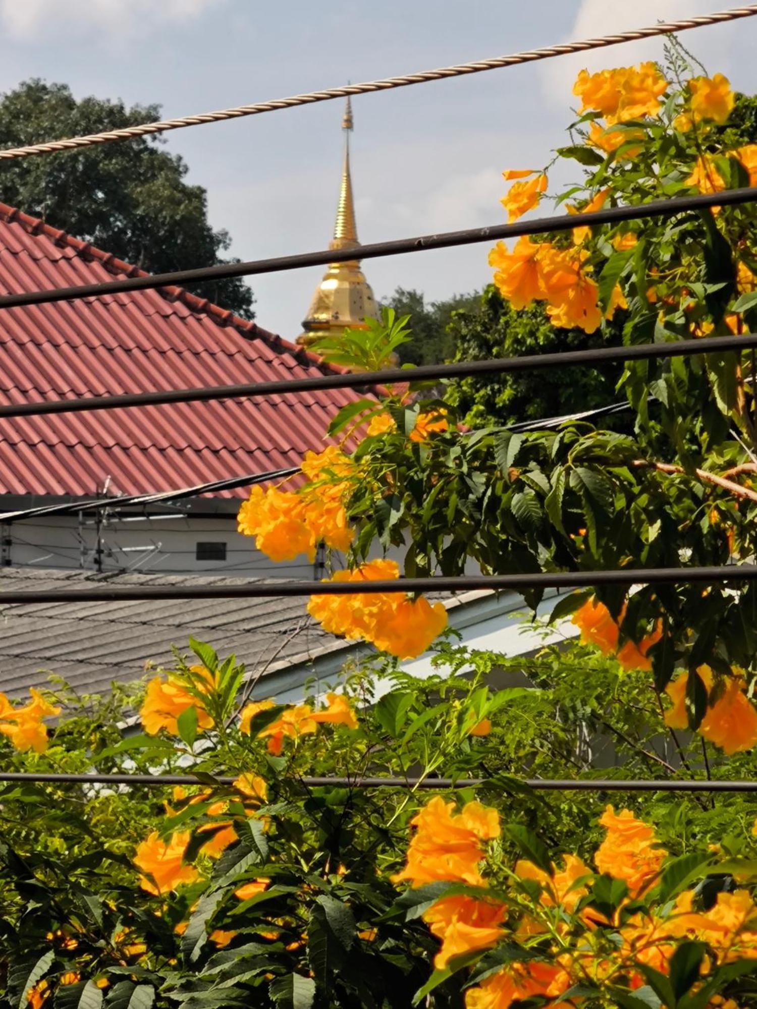 Hotel Ratchiangsaen Flora House Chiang Mai Exterior foto